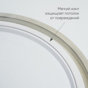 Накладной светильник Feron AL6200 48071 в Советском - sovetskiy.mebel24.online | фото 5