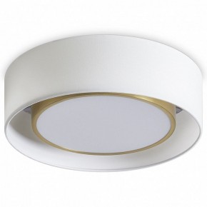 Накладной светильник Freya Cozy FR6170CL-L52BS в Советском - sovetskiy.mebel24.online | фото