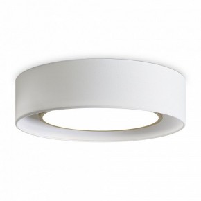 Накладной светильник Freya Cozy FR6170CL-L52BS в Советском - sovetskiy.mebel24.online | фото 3