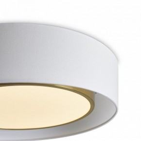 Накладной светильник Freya Cozy FR6170CL-L52BS в Советском - sovetskiy.mebel24.online | фото 4