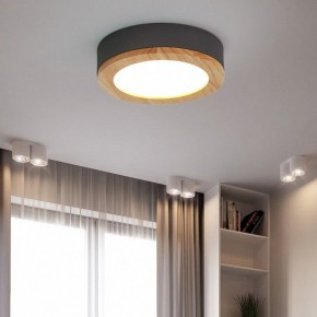 Накладной светильник Imperiumloft Wudda Серый WUDDA01 в Советском - sovetskiy.mebel24.online | фото 4