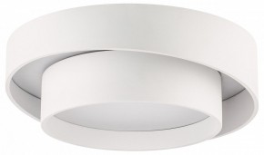 Накладной светильник Lightstar Celesta 809416 в Советском - sovetskiy.mebel24.online | фото