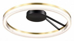 Накладной светильник Lightstar Rotonda 736040 в Советском - sovetskiy.mebel24.online | фото
