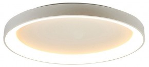 Накладной светильник Mantra Niseko 8637 в Советском - sovetskiy.mebel24.online | фото