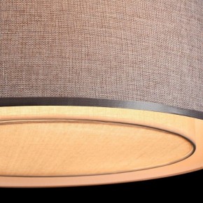 Накладной светильник Maytoni Bergamo MOD613CL-04GR в Советском - sovetskiy.mebel24.online | фото 10
