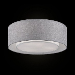 Накладной светильник Maytoni Bergamo MOD613CL-04GR в Советском - sovetskiy.mebel24.online | фото 2