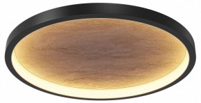 Накладной светильник Maytoni Orign MOD311CL-L40B3K в Советском - sovetskiy.mebel24.online | фото