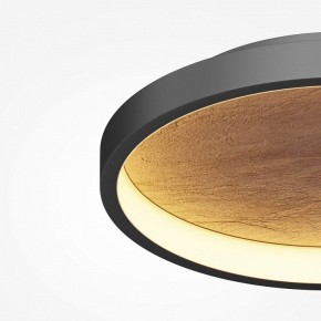 Накладной светильник Maytoni Orign MOD311CL-L40B3K в Советском - sovetskiy.mebel24.online | фото 3