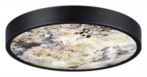 Накладной светильник Odeon Light Bergi 5064/30L в Советском - sovetskiy.mebel24.online | фото 4