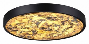 Накладной светильник Odeon Light Bergi 5064/40L в Советском - sovetskiy.mebel24.online | фото 2