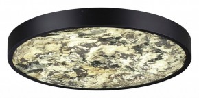Накладной светильник Odeon Light Bergi 5064/40L в Советском - sovetskiy.mebel24.online | фото 3
