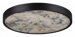 Накладной светильник Odeon Light Bergi 5064/40L в Советском - sovetskiy.mebel24.online | фото 6