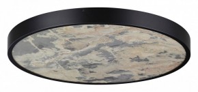 Накладной светильник Odeon Light Bergi 5064/50L в Советском - sovetskiy.mebel24.online | фото 3