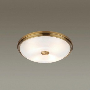 Накладной светильник Odeon Light Pelow 4956/4 в Советском - sovetskiy.mebel24.online | фото 2
