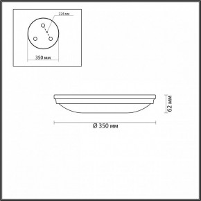 Накладной светильник Odeon Light Pelow 4956/4 в Советском - sovetskiy.mebel24.online | фото 3