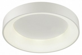 Накладной светильник Odeon Light Sole 4062/50CL в Советском - sovetskiy.mebel24.online | фото 3