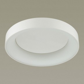 Накладной светильник Odeon Light Sole 4062/50CL в Советском - sovetskiy.mebel24.online | фото 4