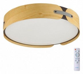 Накладной светильник Sonex Coraggio 7721/100L в Советском - sovetskiy.mebel24.online | фото 4