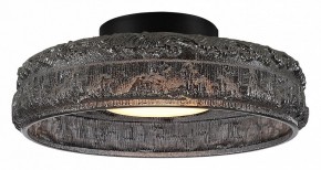 Накладной светильник ST-Luce ANTIKE SL6143.412.01 в Советском - sovetskiy.mebel24.online | фото 2