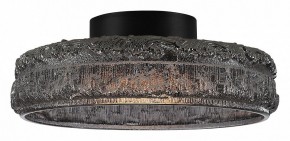 Накладной светильник ST-Luce ANTIKE SL6143.412.01 в Советском - sovetskiy.mebel24.online | фото 3