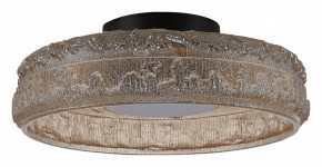 Накладной светильник ST-Luce ANTIKE SL6143.422.01 в Советском - sovetskiy.mebel24.online | фото 2