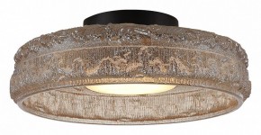 Накладной светильник ST-Luce ANTIKE SL6143.422.01 в Советском - sovetskiy.mebel24.online | фото 3
