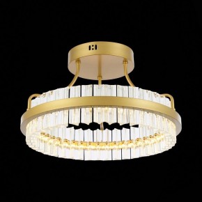 Накладной светильник ST-Luce Cherio SL383.202.01 в Советском - sovetskiy.mebel24.online | фото 6