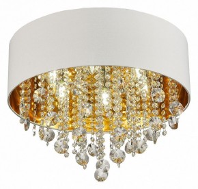 Накладной светильник ST-Luce Lacchia SL1350.502.06 в Советском - sovetskiy.mebel24.online | фото 3