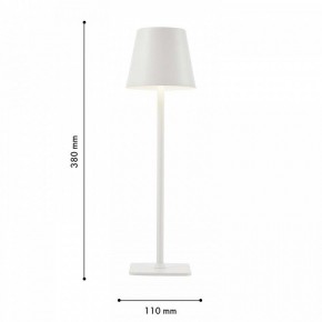 Настольная лампа декоративная F-promo Pyari 4614-1T в Советском - sovetskiy.mebel24.online | фото 3