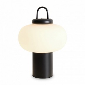 Настольная лампа декоративная Freya Take FR6175TL-L10B в Советском - sovetskiy.mebel24.online | фото