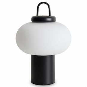 Настольная лампа декоративная Freya Take FR6175TL-L10B в Советском - sovetskiy.mebel24.online | фото 2