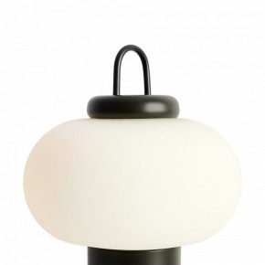 Настольная лампа декоративная Freya Take FR6175TL-L10B в Советском - sovetskiy.mebel24.online | фото 5