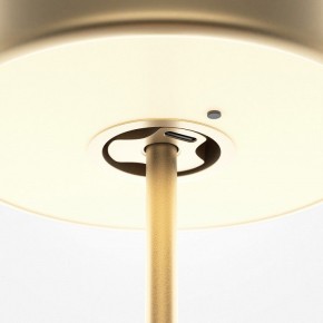 Настольная лампа декоративная Maytoni AI Collaboration MOD229TL-L3G3K2 в Советском - sovetskiy.mebel24.online | фото 5