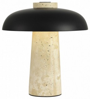 Настольная лампа декоративная ST-Luce Earthy SL1194.424.01 в Советском - sovetskiy.mebel24.online | фото 3