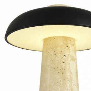 Настольная лампа декоративная ST-Luce Earthy SL1194.424.01 в Советском - sovetskiy.mebel24.online | фото 6