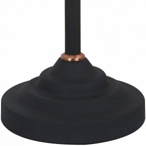 Настольная лампа офисная Arte Lamp Braccio A2054LT-1BK в Советском - sovetskiy.mebel24.online | фото 4
