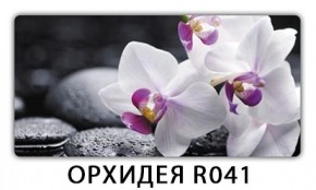 Обеденный стол Паук с фотопечатью узор Цветы R044 в Советском - sovetskiy.mebel24.online | фото 21