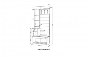 ОЛЬГА-МИЛК Прихожая (модульная) в Советском - sovetskiy.mebel24.online | фото 2