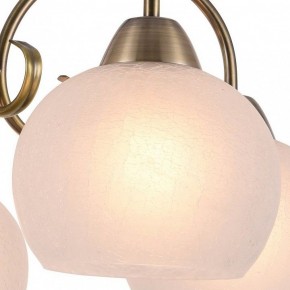 Подвесная люстра Arte Lamp Margo A9317LM-5AB в Советском - sovetskiy.mebel24.online | фото 2
