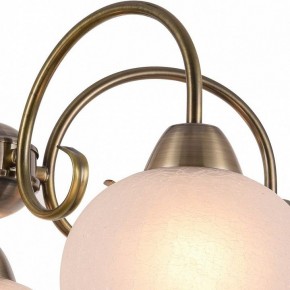 Подвесная люстра Arte Lamp Margo A9317LM-5AB в Советском - sovetskiy.mebel24.online | фото 3