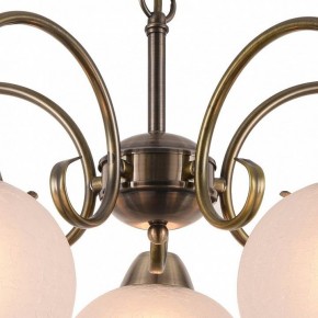Подвесная люстра Arte Lamp Margo A9317LM-5AB в Советском - sovetskiy.mebel24.online | фото 4