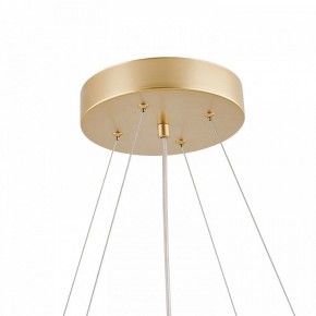 Подвесная люстра Favourite Asterismo 4448-8P в Советском - sovetskiy.mebel24.online | фото 8