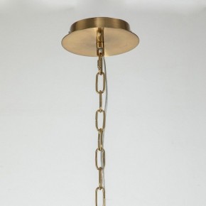 Подвесная люстра Favourite Duke 2969-6P в Советском - sovetskiy.mebel24.online | фото 6