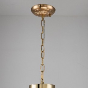 Подвесная люстра Favourite Rocca 2689-6P в Советском - sovetskiy.mebel24.online | фото 4