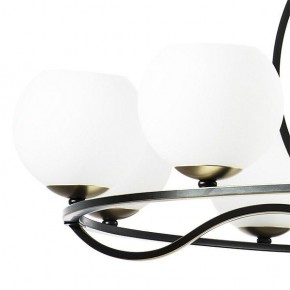 Подвесная люстра Lightstar Enna 762117 в Советском - sovetskiy.mebel24.online | фото 4