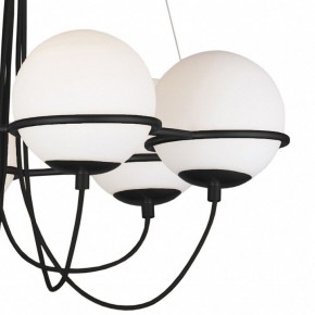 Подвесная люстра Lightstar Globo 803267 в Советском - sovetskiy.mebel24.online | фото 5