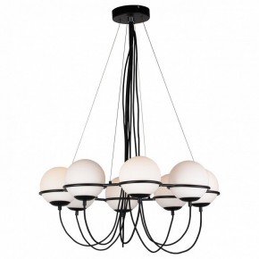 Подвесная люстра Lightstar Globo 803287 в Советском - sovetskiy.mebel24.online | фото 3