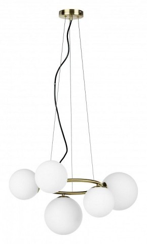 Подвесная люстра Lightstar Globo 815051 в Советском - sovetskiy.mebel24.online | фото 2