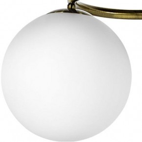 Подвесная люстра Lightstar Globo 815091 в Советском - sovetskiy.mebel24.online | фото 3