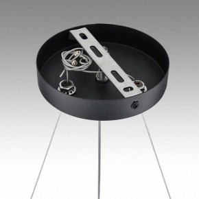 Подвесная люстра Lumion Luazana 8242/6 в Советском - sovetskiy.mebel24.online | фото 7